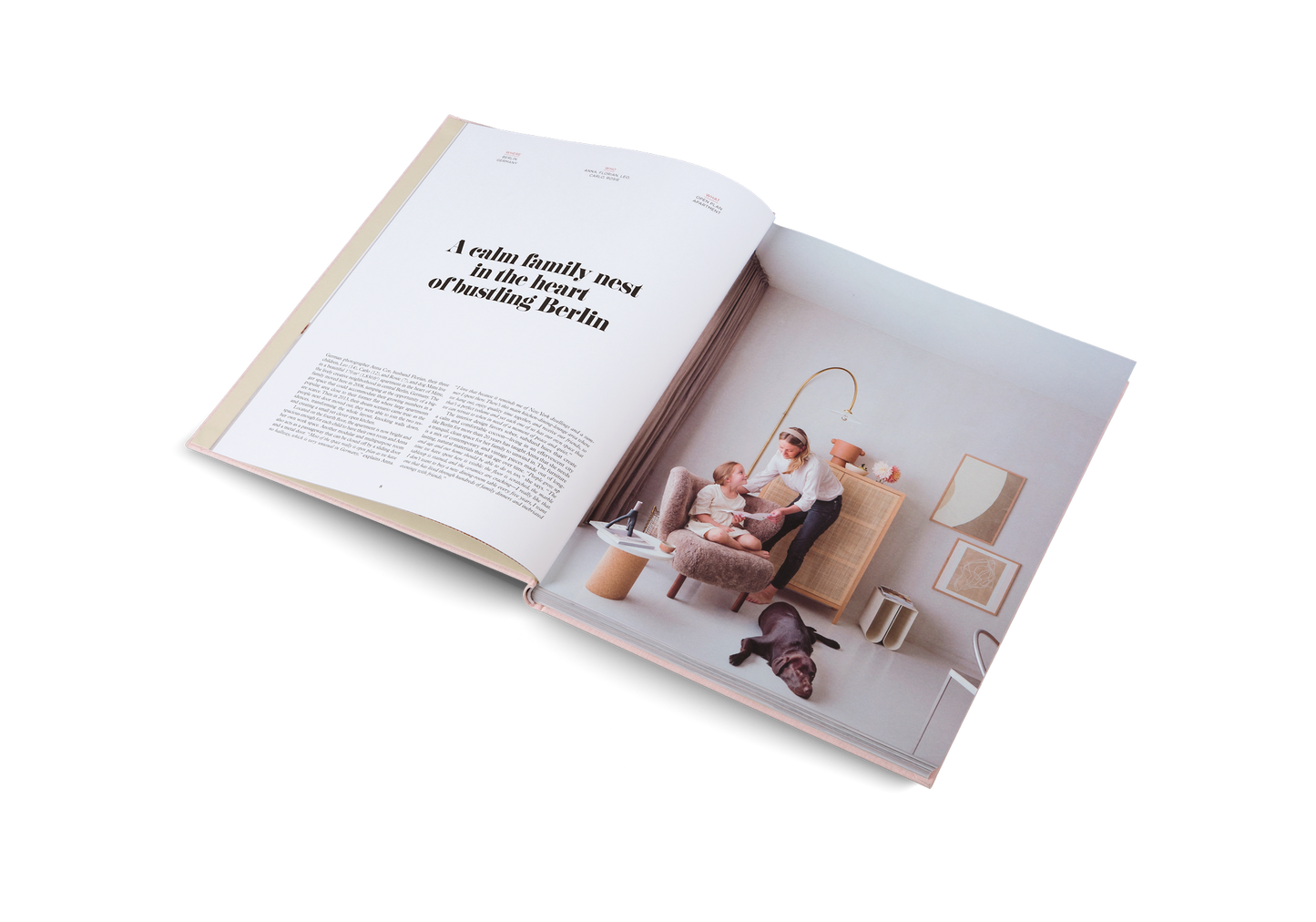Inspiring Family Homes Book