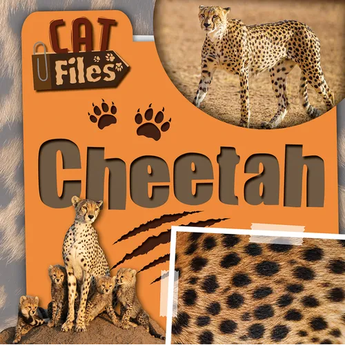 Cheetah