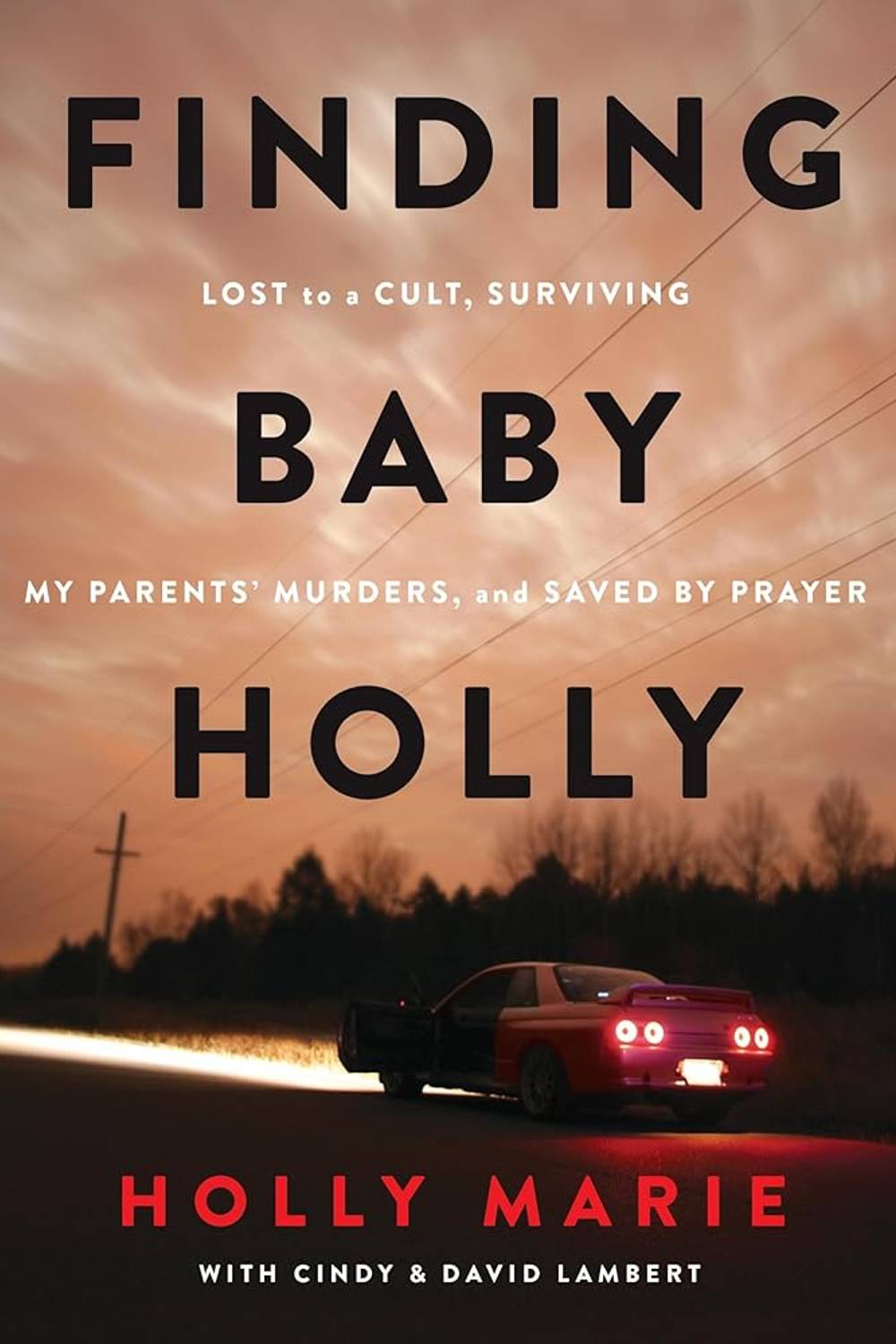 Finding Baby Holly: Lost to a Cult, Surviving My Parents' Murders, and Saved by Prayer Book