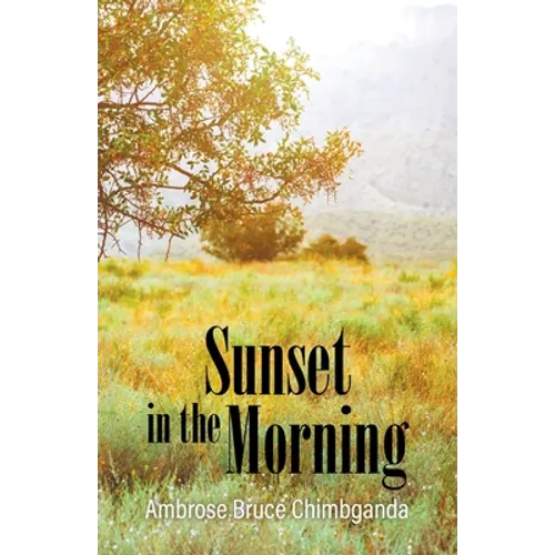 Sunset in the Morning