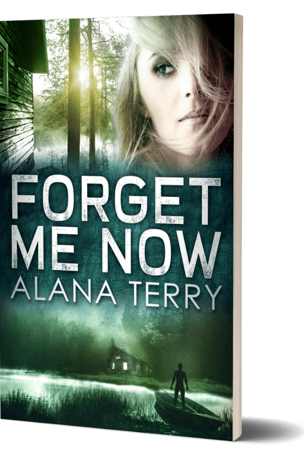 Forget Me Now Book