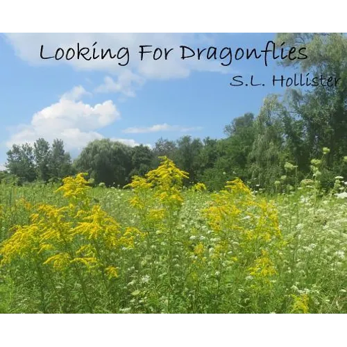 Looking For Dragonflies