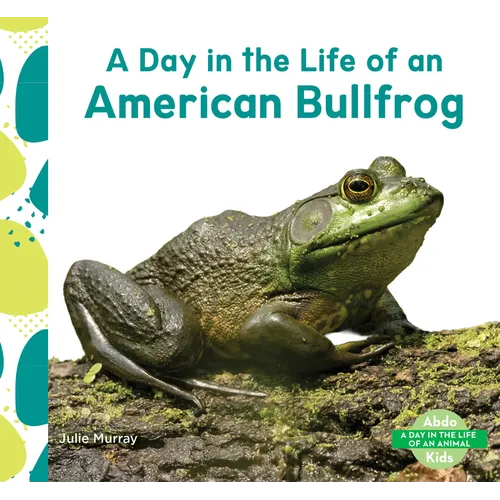 Day in the Life of an American Bullfrog