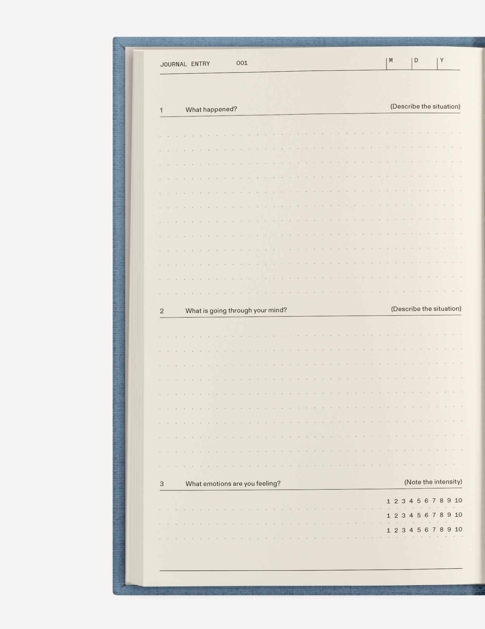 The Everyday Self-Care Set Therapy Notebooks