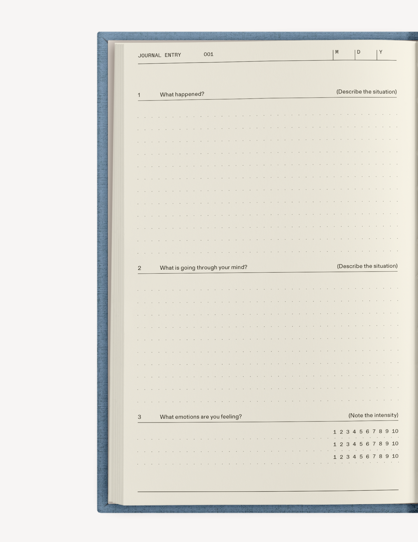 The Therapy Companion Set Therapy Notebooks
