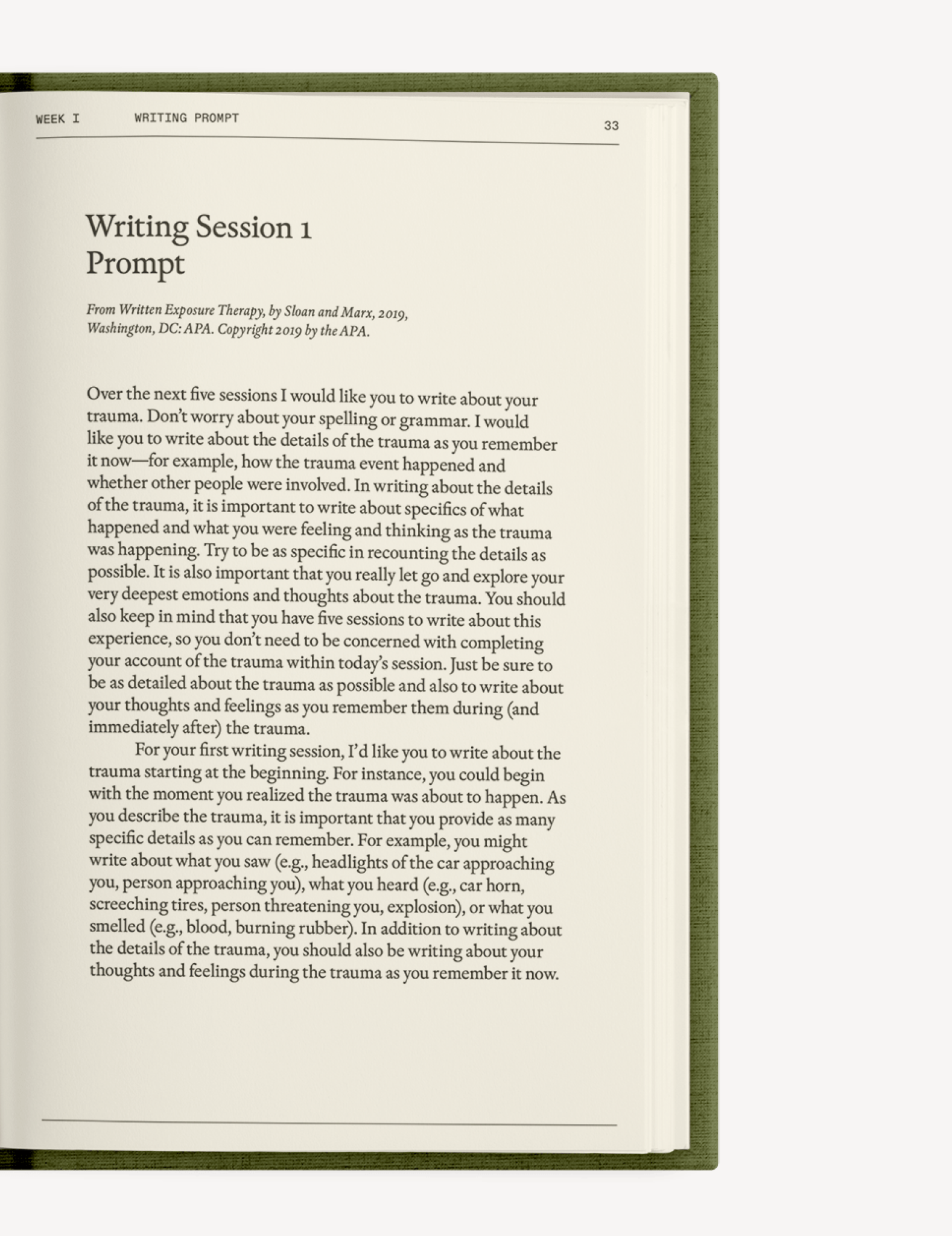 The After-Trauma Therapy Notebook