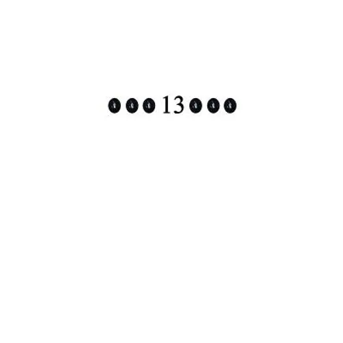 ... 13 ...
