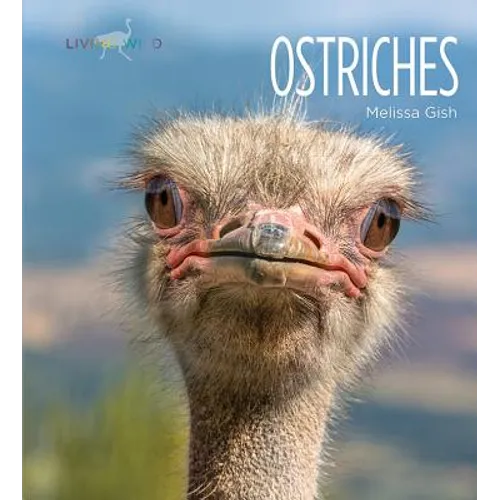 Ostriches