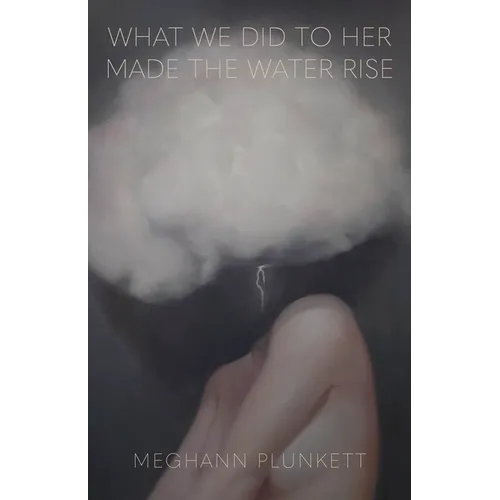 What We Did to Her Made the Water Rise