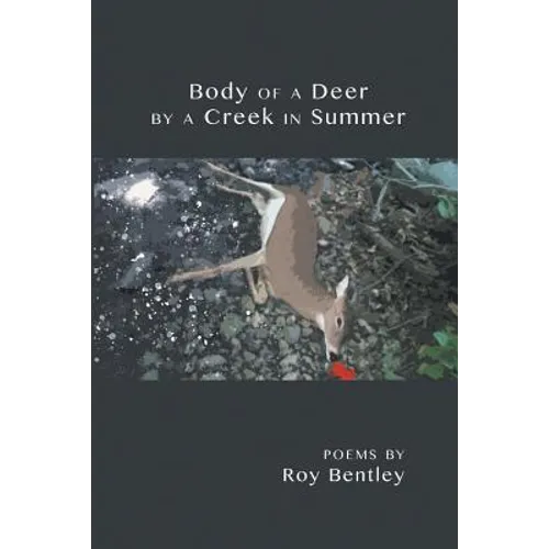 Body of a Deer by a Creek in Summer