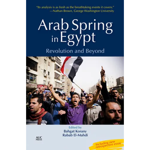 Arab Spring in Egypt: Revolution and Beyond