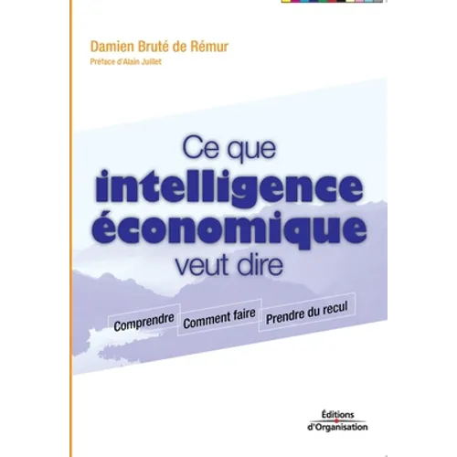 Ce que intelligence économique veut dire: Comprendre. Comment faire. Prendre du recul.