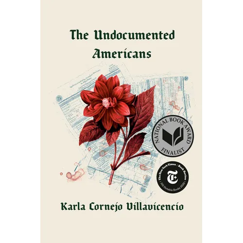 The Undocumented Americans
