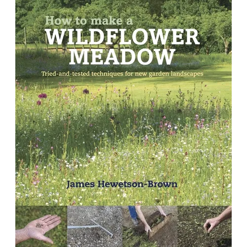 How to Make a Wildflower Meadow: Tried-And-Tested Techniques for New Garden Landscapes