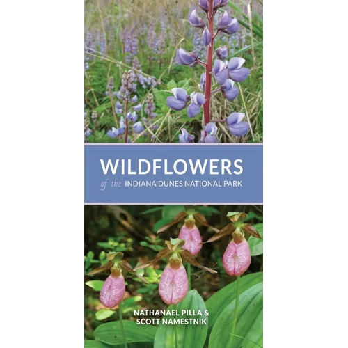 Wildflowers of the Indiana Dunes National Park