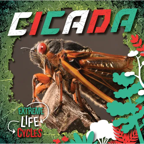 Cicada