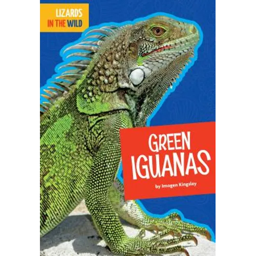 Green Iguanas