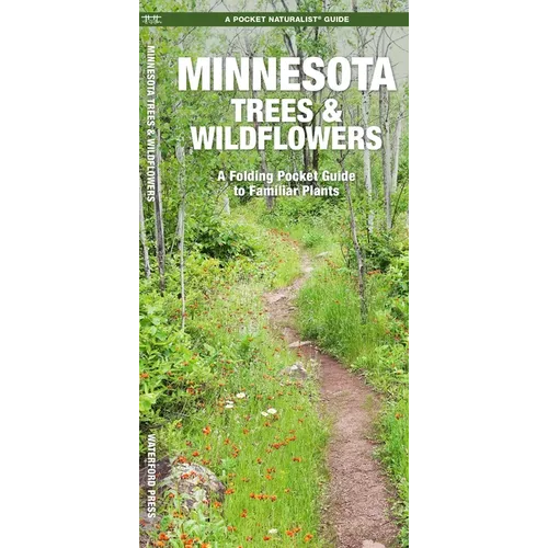Minnesota Trees & Wildflowers: An Introduction to Familiar Species
