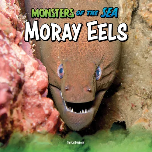 Moray Eels