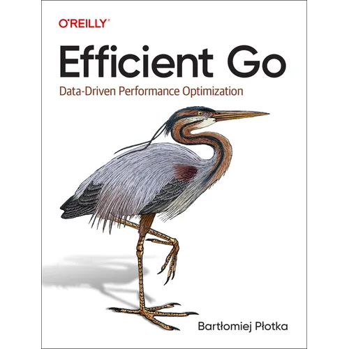 Efficient Go: Data-Driven Performance Optimization