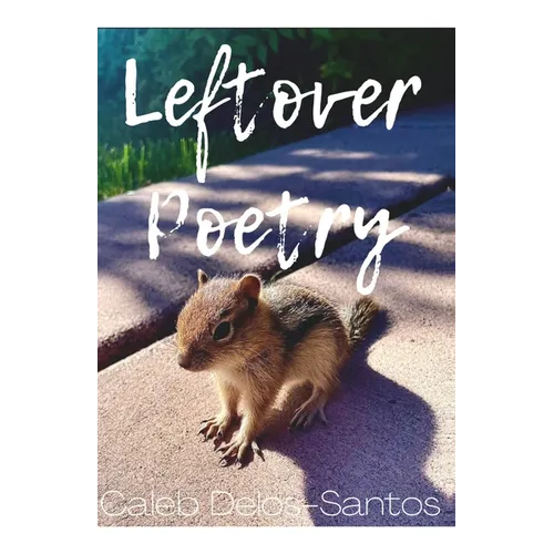 Leftover Poetry