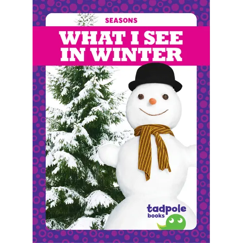 What I See in Winter