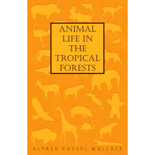 Animal Life in the Tropical Forests