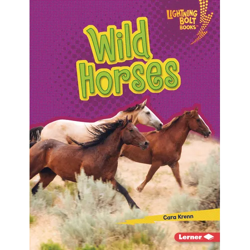 Wild Horses