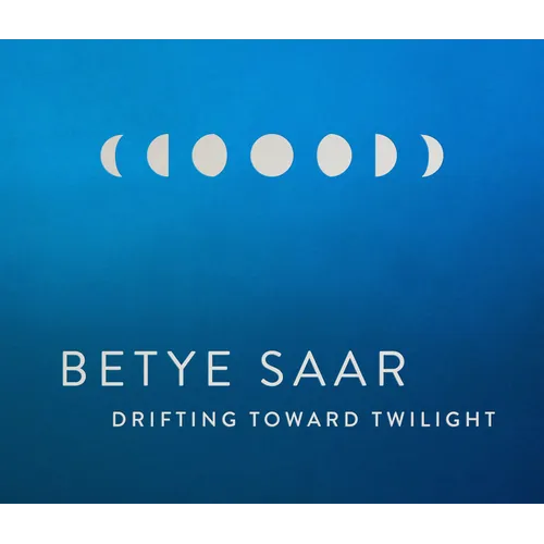 Betye Saar: Drifting Toward Twilight