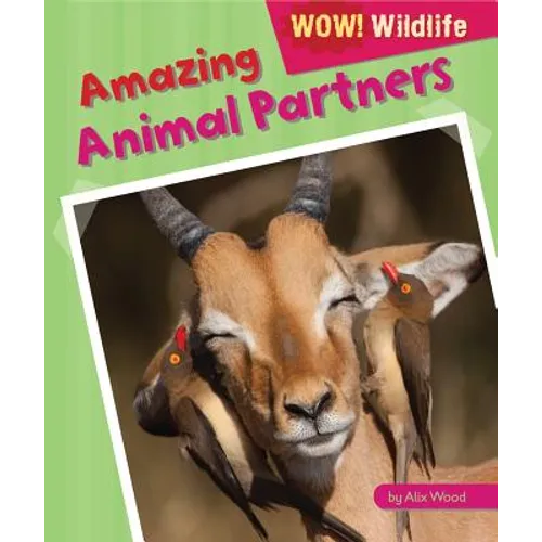 Amazing Animal Partners