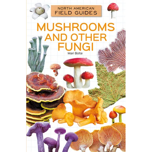 Mushrooms and Other Fungi