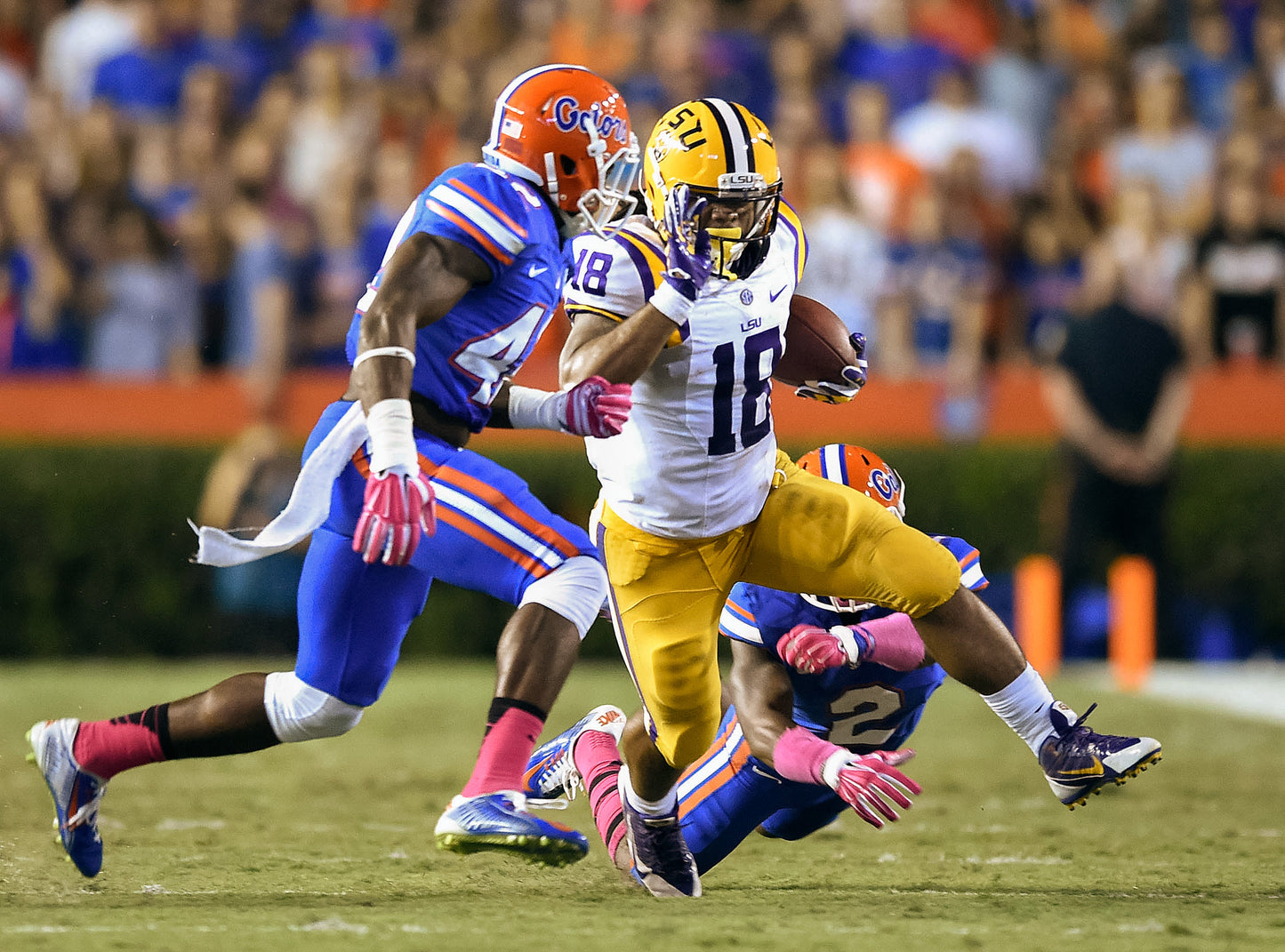 LSU by the Numbers: The Greatest Tigers in History (and Those Who Almost Made It) Book