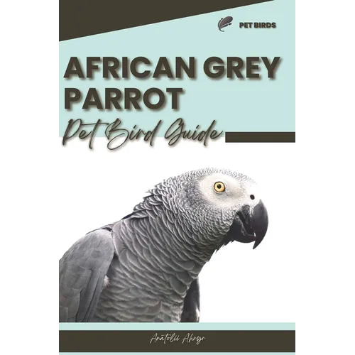 African Grey Parrot: Pet bird guide