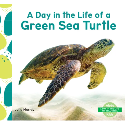 Day in the Life of a Green Sea Turtle
