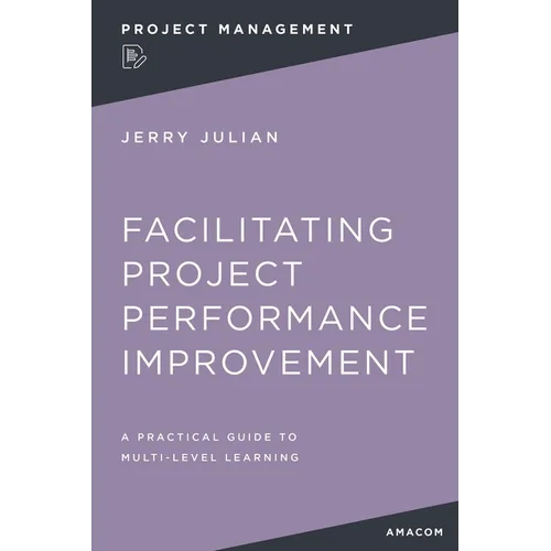 Facilitating Project Performance Improvement: A Practical Guide to Multi-Level Learning