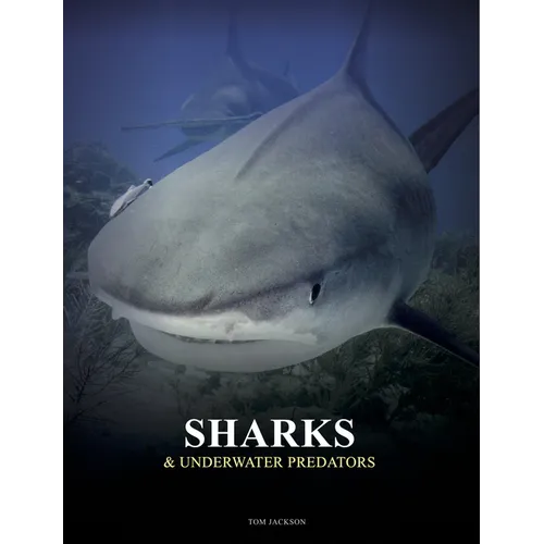 Sharks and Underwater Predators