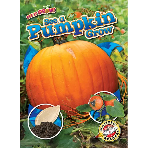 See a Pumpkin Grow