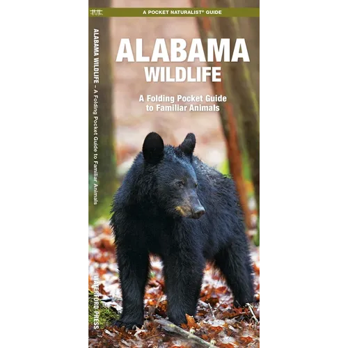 Alabama Wildlife: A Folding Pocket Guide to Familiar Animals