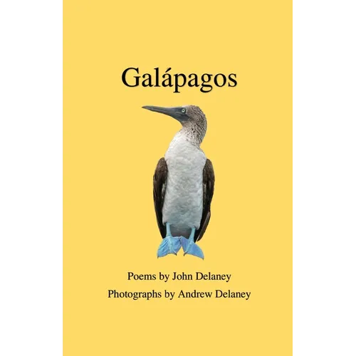 Gal疳agos: Poems by John Delaney, Photographs by Andrew Delaney