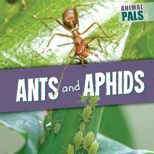 Ants and Aphids