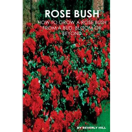 Rose Bush: Learn How To Grow A Rose Bush From A Bud, Bloom or Beyond