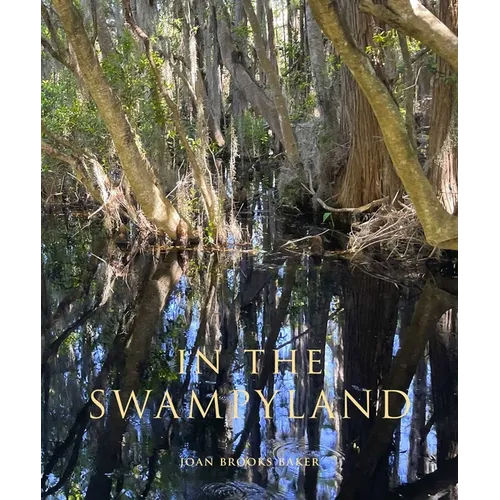 In the Swampyland