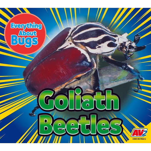 Goliath Beetles