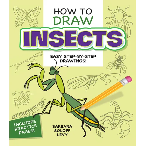 How to Draw Insects: Step-By-Step Drawings!
