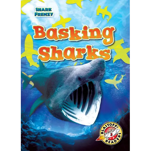 Basking Sharks