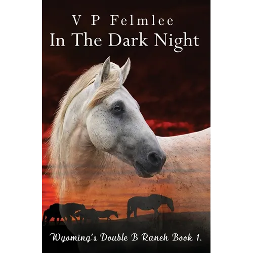 In The Dark Night