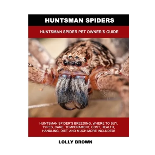Huntsman Spiders: Huntsman Spider Pet Owner's Guide