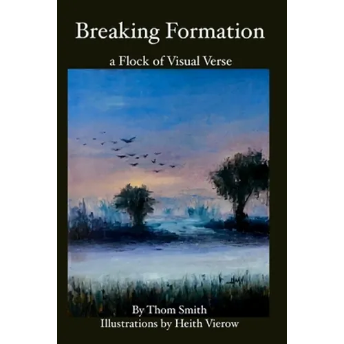 Breaking Formation: a Flock of Visual Verse