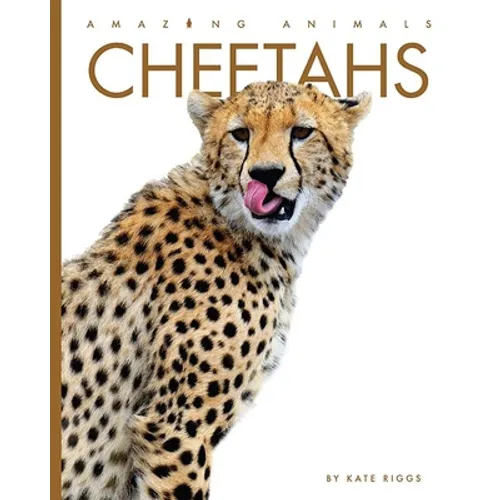 Cheetahs