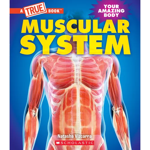 Muscular System (a True Book: Your Amazing Body)